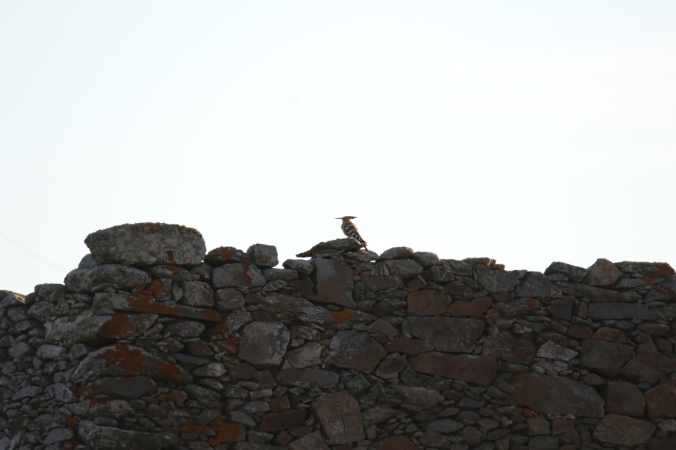 Portugal (-  -). Foto van Jvk.